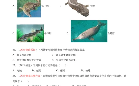 第05单元第01章动物的主要类群测试（A卷&middot;夯实基础）（原卷版）_初中全科电子版试卷练习试题_生物_生物8上练习_人教生物8年级上单元试卷48份