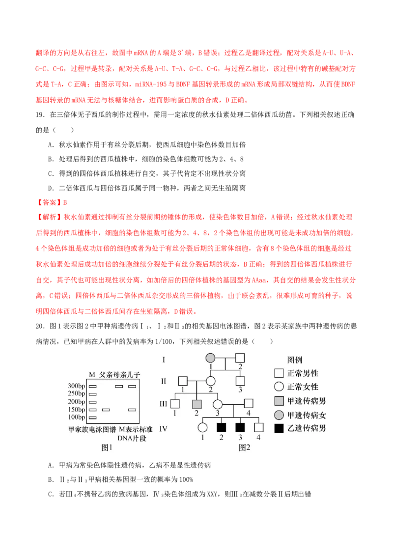 专题五遗传的分子基础、变异和进化（解析版）_2025年新高考资料_二轮复习_01高考语文等多个文件_上好课2025年高考生物二轮复习讲练测（新高考通用）