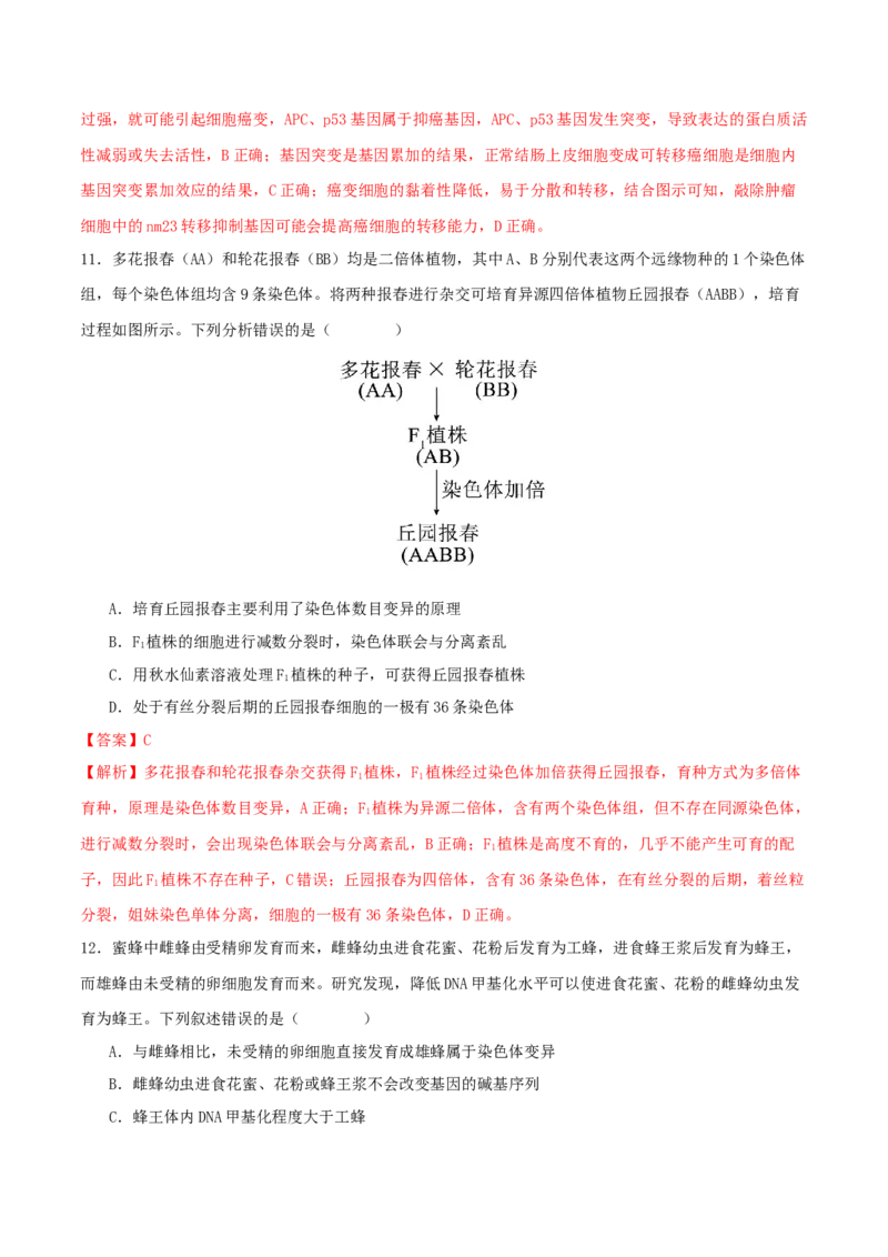 专题五遗传的分子基础、变异和进化（解析版）_2025年新高考资料_二轮复习_01高考语文等多个文件_上好课2025年高考生物二轮复习讲练测（新高考通用）