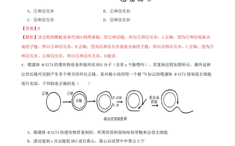 专题五遗传的分子基础、变异和进化（解析版）_2025年新高考资料_二轮复习_01高考语文等多个文件_上好课2025年高考生物二轮复习讲练测（新高考通用）