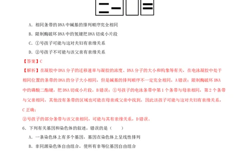 专题五遗传的分子基础、变异和进化（解析版）_2025年新高考资料_二轮复习_01高考语文等多个文件_上好课2025年高考生物二轮复习讲练测（新高考通用）
