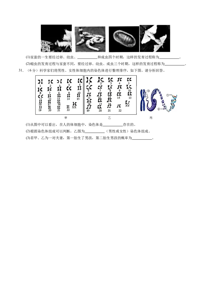 生物（天津卷）（考试版A4）_初中全科电子版试卷练习试题_生物_2024中考模拟题生物(1)_一模_生物（天津卷）-2024年中考第一次模拟考试