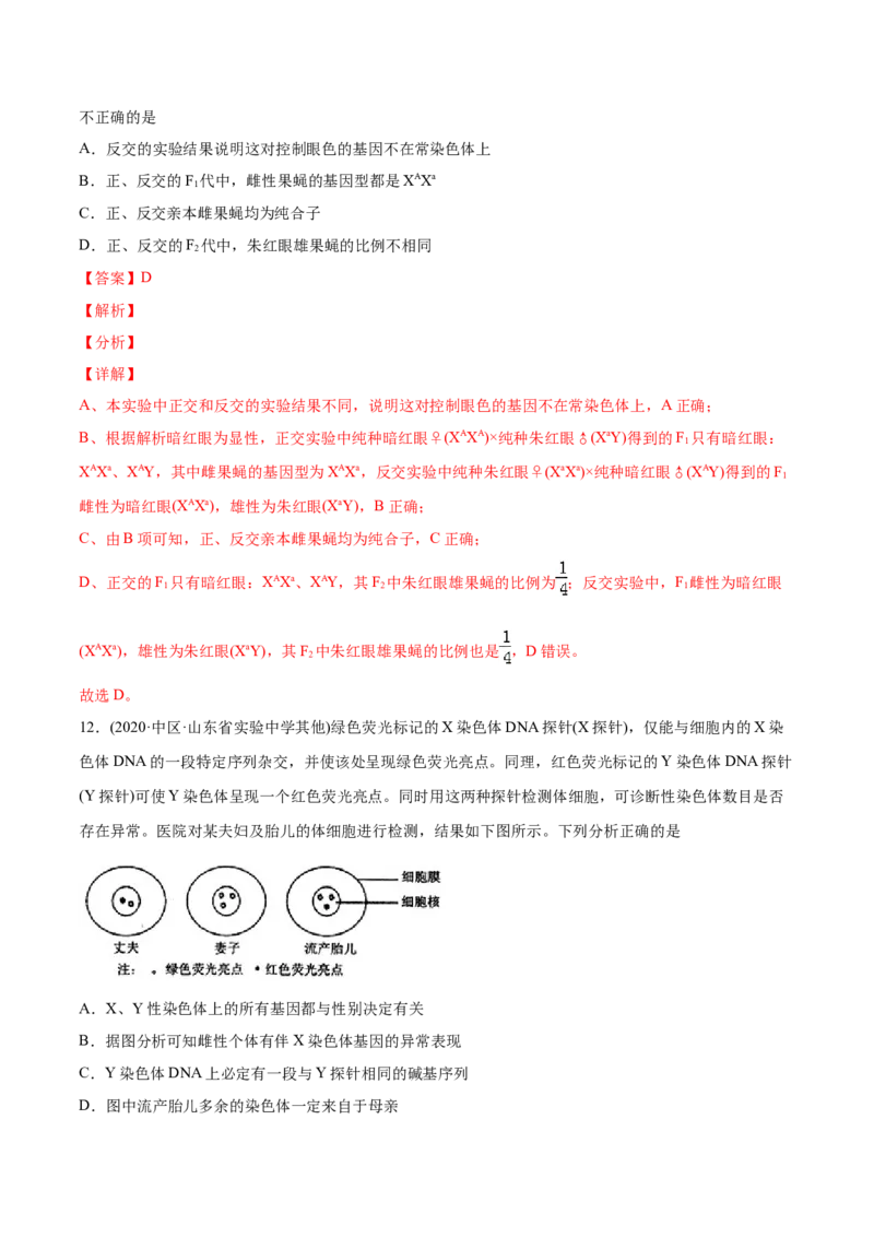 专题9伴性遗传和人类遗传病-2021年高考生物真题与模拟题分类训练（教师版含解析）_新高考复习资料_2023年新高考复习资料_一轮复习_2023年新高考大一轮复习讲义