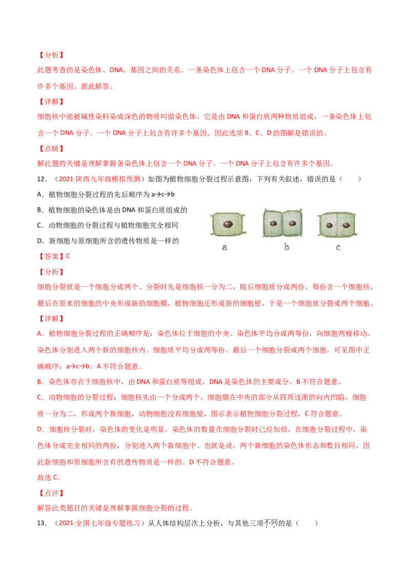 期末测试（B卷&middot;提升能力）（解析版）_初中全科电子版试卷练习试题_生物_生物人教版7上练习&mdash;24新版已更新_人教生物7年级上期末试卷11份