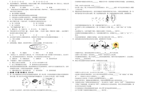 生物（泰州卷）（考试版A3）_初中全科电子版试卷练习试题_生物_2024中考模拟题生物(1)_三模（37套）_生物（泰州卷）