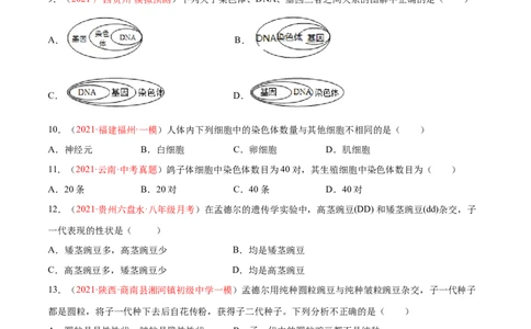 第07单元第02章生物的遗传与变异单元测试（A卷&middot;夯实基础）（原卷版）_初中全科电子版试卷练习试题_生物_生物8下练习_人教生物8年级下单元试卷38份