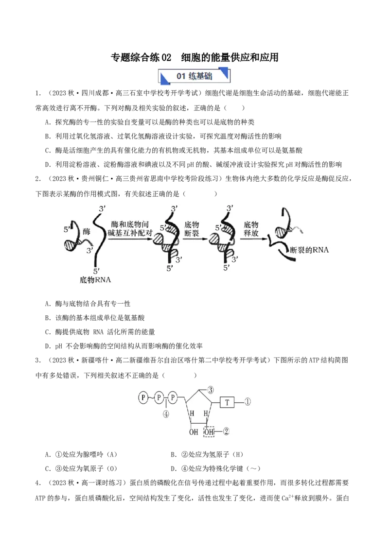 专题综合练02细胞的能量供应和应用(原卷版)_新高考复习资料_2024年新高考复习资料_一轮复习资料_完备战2024年高考生物一轮复习考点帮（新高考）_必修1
