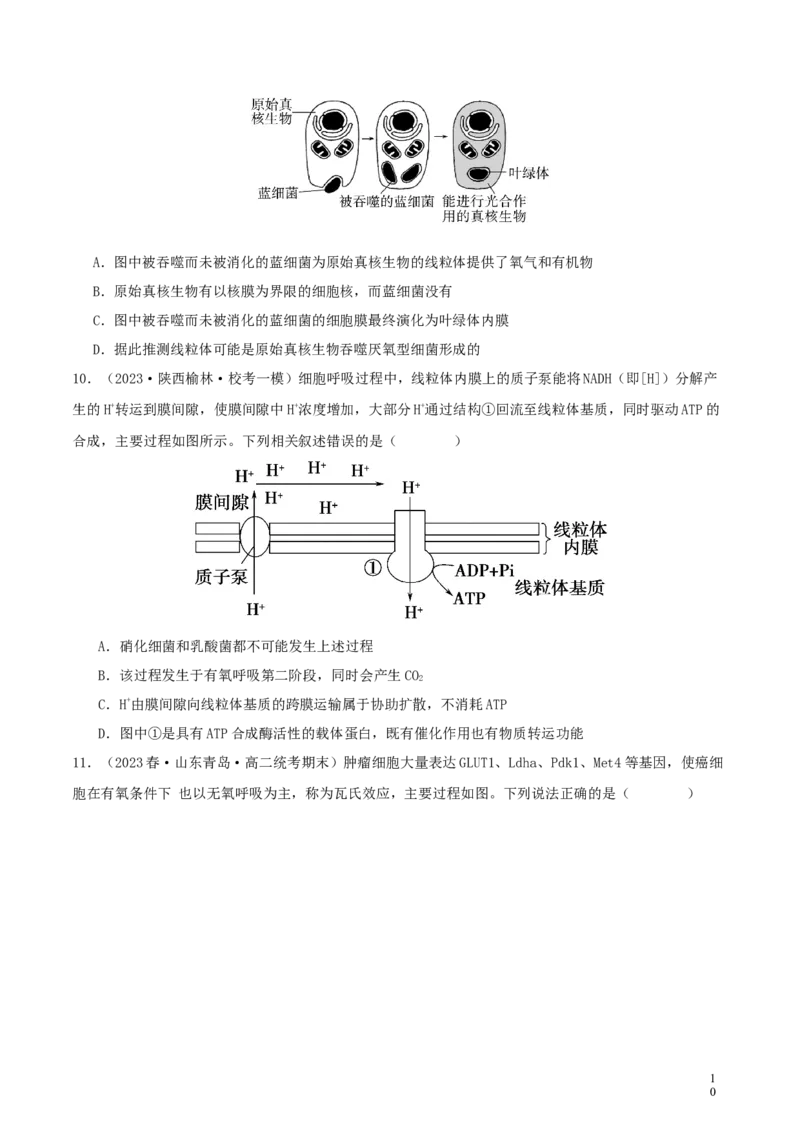 专题综合练02细胞的能量供应和应用(原卷版)_新高考复习资料_2024年新高考复习资料_一轮复习资料_完备战2024年高考生物一轮复习考点帮（新高考）_必修1