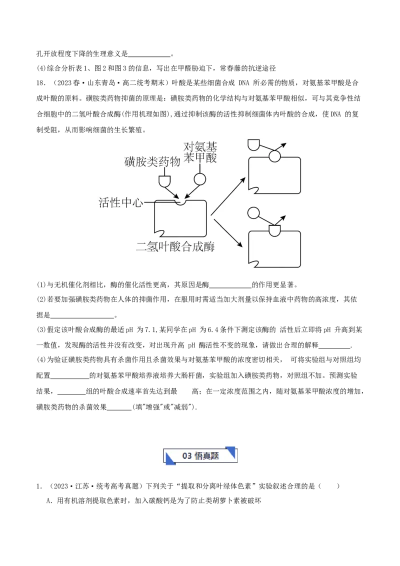 专题综合练02细胞的能量供应和应用(原卷版)_新高考复习资料_2024年新高考复习资料_一轮复习资料_完备战2024年高考生物一轮复习考点帮（新高考）_必修1