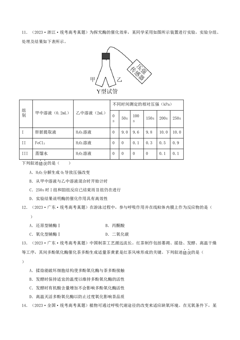 专题综合练02细胞的能量供应和应用(原卷版)_新高考复习资料_2024年新高考复习资料_一轮复习资料_完备战2024年高考生物一轮复习考点帮（新高考）_必修1