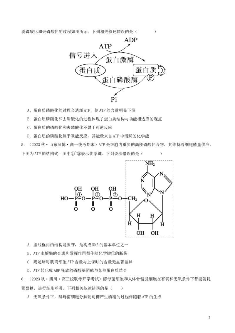专题综合练02细胞的能量供应和应用(原卷版)_新高考复习资料_2024年新高考复习资料_一轮复习资料_完备战2024年高考生物一轮复习考点帮（新高考）_必修1