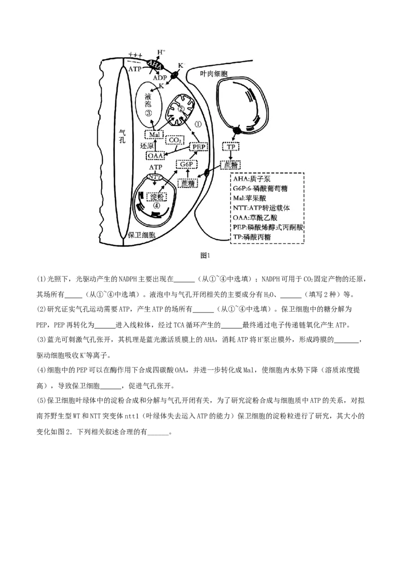 专题综合练02细胞的能量供应和应用(原卷版)_新高考复习资料_2024年新高考复习资料_一轮复习资料_完备战2024年高考生物一轮复习考点帮（新高考）_必修1