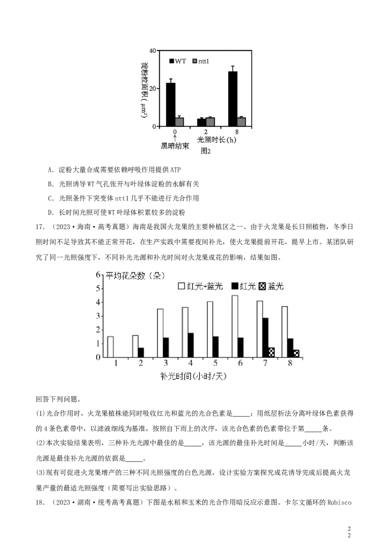 专题综合练02细胞的能量供应和应用(原卷版)_新高考复习资料_2024年新高考复习资料_一轮复习资料_完备战2024年高考生物一轮复习考点帮（新高考）_必修1
