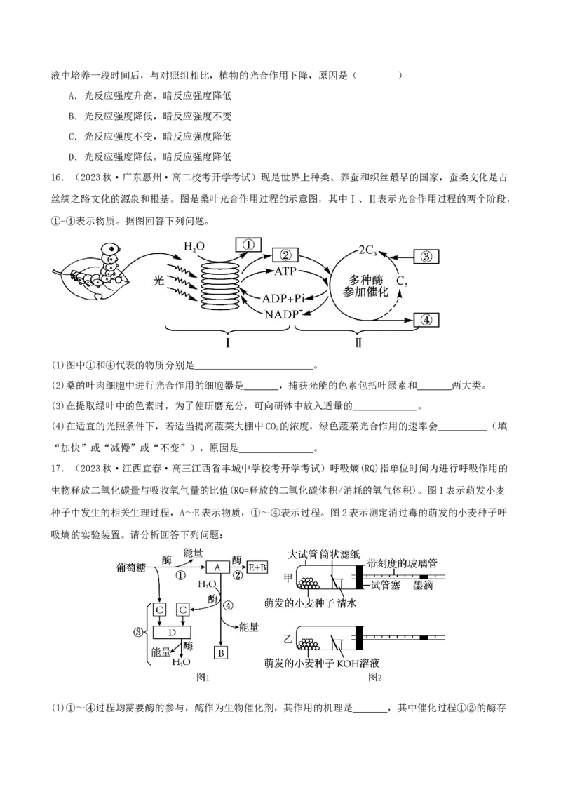 专题综合练02细胞的能量供应和应用(原卷版)_新高考复习资料_2024年新高考复习资料_一轮复习资料_完备战2024年高考生物一轮复习考点帮（新高考）_必修1