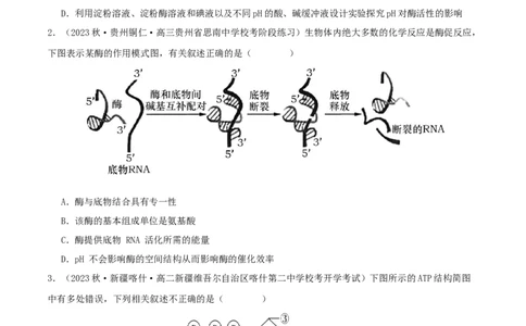 专题综合练02细胞的能量供应和应用(原卷版)_新高考复习资料_2024年新高考复习资料_一轮复习资料_完备战2024年高考生物一轮复习考点帮（新高考）_必修1
