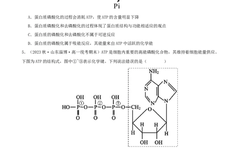 专题综合练02细胞的能量供应和应用(原卷版)_新高考复习资料_2024年新高考复习资料_一轮复习资料_完备战2024年高考生物一轮复习考点帮（新高考）_必修1
