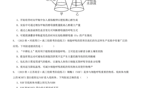 专题综合练02细胞的能量供应和应用(原卷版)_新高考复习资料_2024年新高考复习资料_一轮复习资料_完备战2024年高考生物一轮复习考点帮（新高考）_必修1