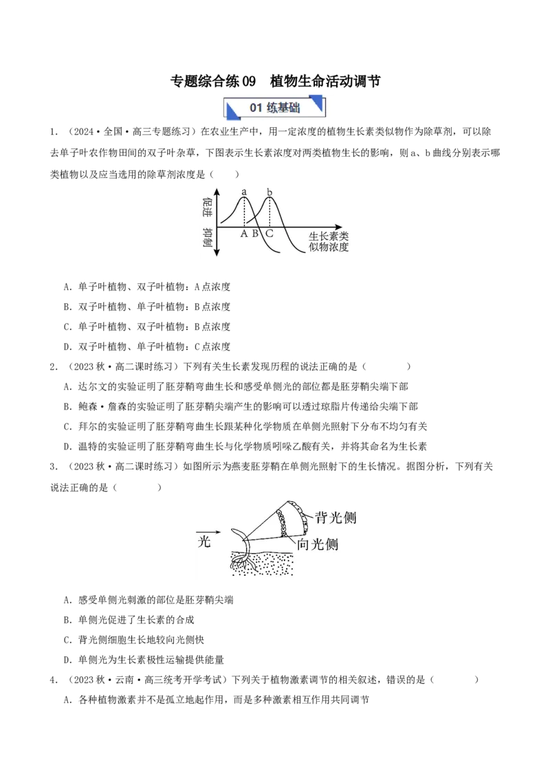 专题综合练09植物生命活动调节(原卷版)_新高考复习资料_2024年新高考复习资料_一轮复习资料_完备战2024年高考生物一轮复习考点帮（新高考）_选择性必修1