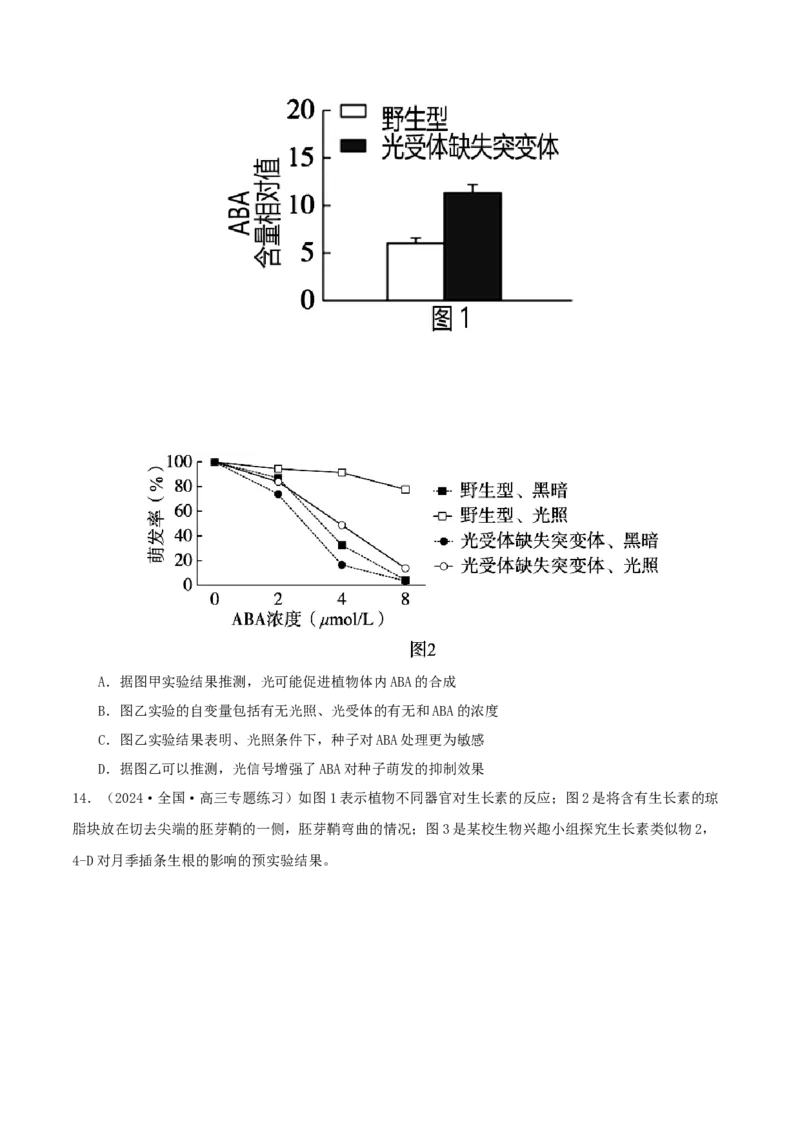 专题综合练09植物生命活动调节(原卷版)_新高考复习资料_2024年新高考复习资料_一轮复习资料_完备战2024年高考生物一轮复习考点帮（新高考）_选择性必修1