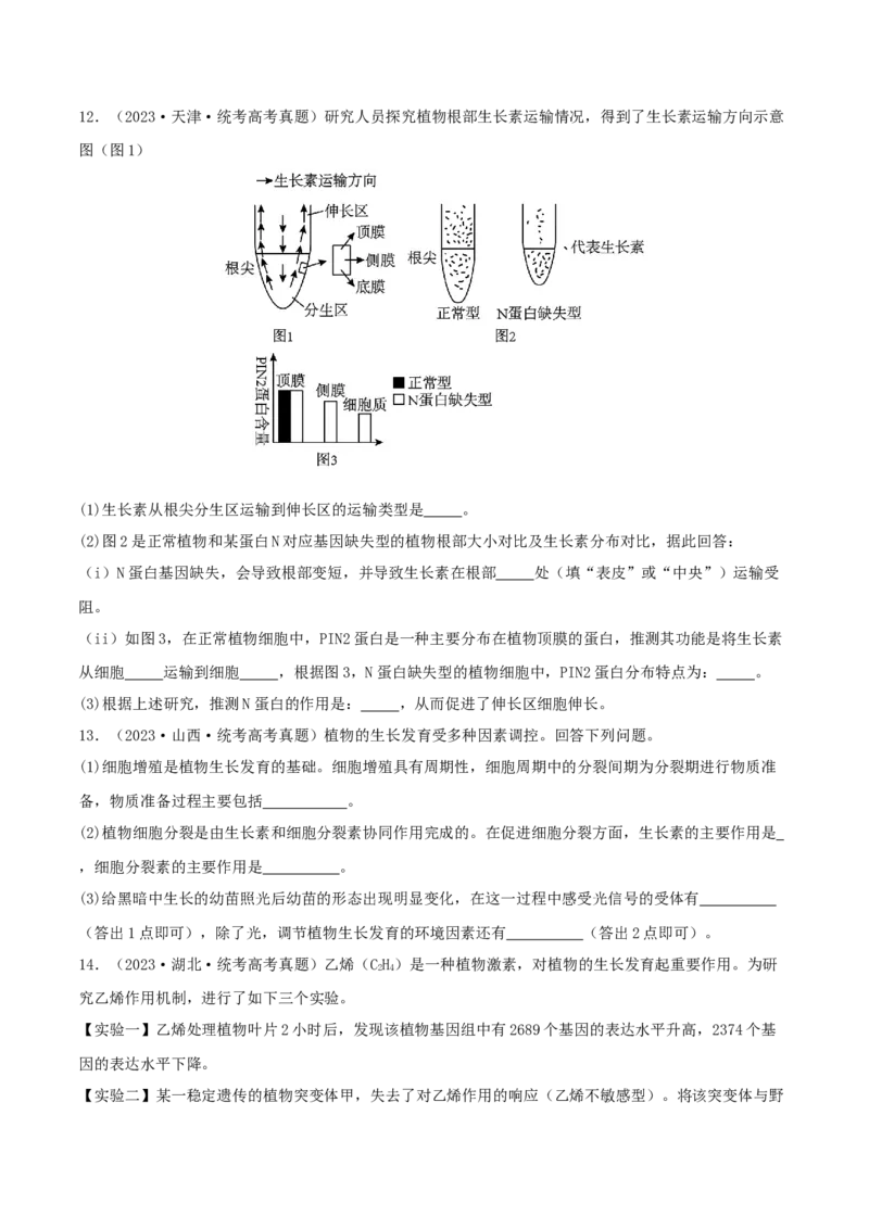 专题综合练09植物生命活动调节(原卷版)_新高考复习资料_2024年新高考复习资料_一轮复习资料_完备战2024年高考生物一轮复习考点帮（新高考）_选择性必修1