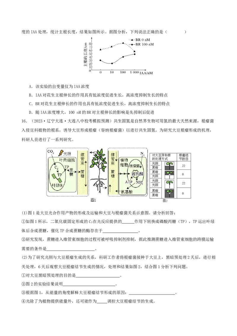 专题综合练09植物生命活动调节(原卷版)_新高考复习资料_2024年新高考复习资料_一轮复习资料_完备战2024年高考生物一轮复习考点帮（新高考）_选择性必修1