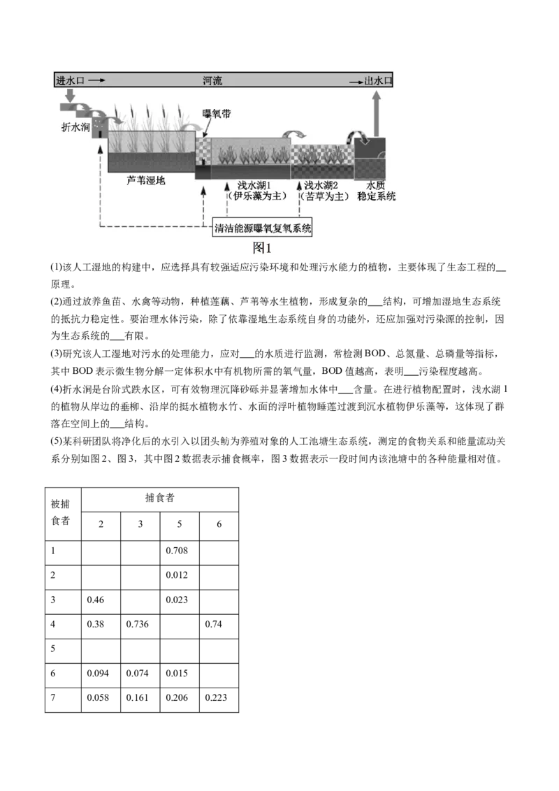 信息必刷卷02（黑吉辽蒙专用）（解析版）_2025年新高考资料_2025考前信息卷_2025年高考生物考前信息必刷卷（黑吉辽蒙专用）34415095