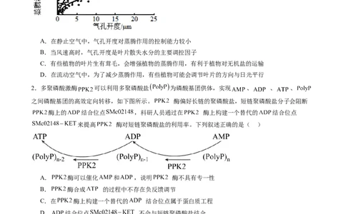 信息必刷卷02（黑吉辽蒙专用）（解析版）_2025年新高考资料_2025考前信息卷_2025年高考生物考前信息必刷卷（黑吉辽蒙专用）34415095