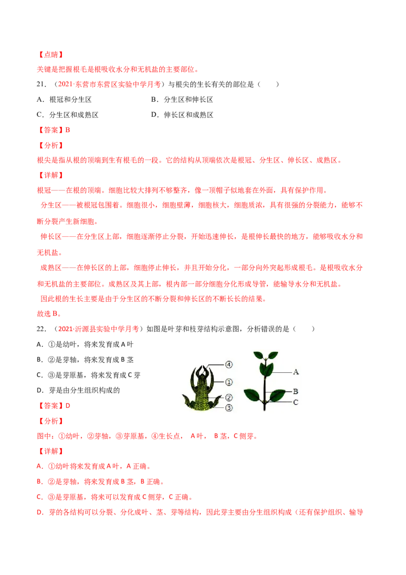 第03单元第01章生物圈中有哪些绿色植物、02章被子植物的一生单元测试（A卷劣实基础）（解析版）_初中全科电子版试卷练习试题_生物_生物人教版7上练习&mdash;24新版已更新