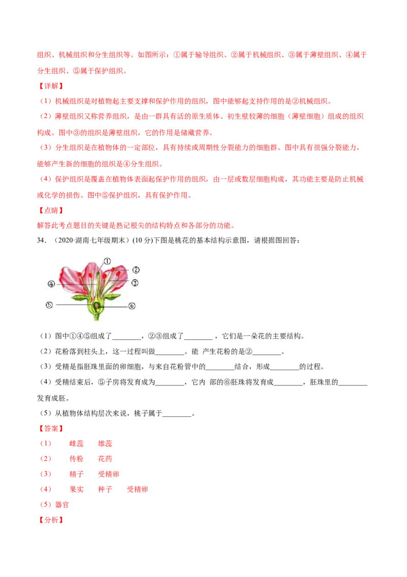 第03单元第01章生物圈中有哪些绿色植物、02章被子植物的一生单元测试（A卷劣实基础）（解析版）_初中全科电子版试卷练习试题_生物_生物人教版7上练习&mdash;24新版已更新