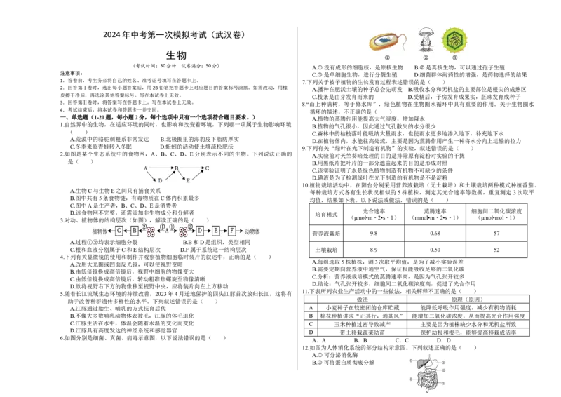 生物（武汉卷）（考试版A3）_初中全科电子版试卷练习试题_生物_2024中考模拟题生物(1)_一模_生物（武汉卷）-2024年中考第一次模拟考试