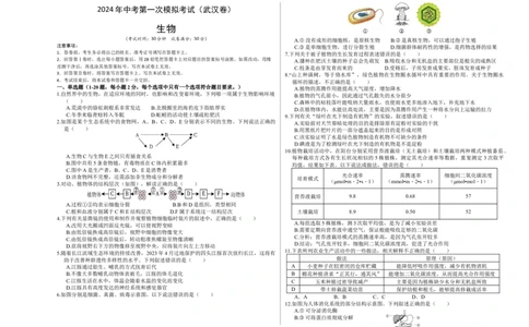 生物（武汉卷）（考试版A3）_初中全科电子版试卷练习试题_生物_2024中考模拟题生物(1)_一模_生物（武汉卷）-2024年中考第一次模拟考试