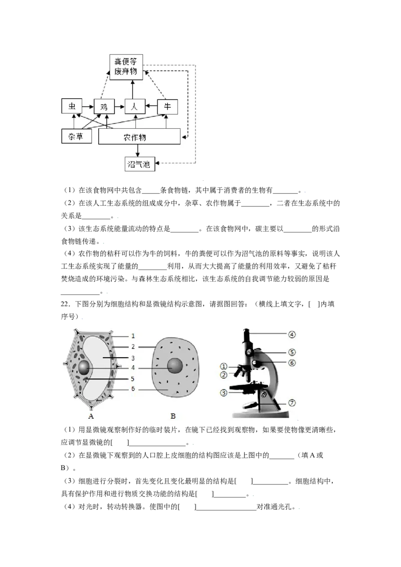 期末测试卷02-（人教版）（原卷版）_初中全科电子版试卷练习试题_生物_生物人教版7上练习&mdash;24新版已更新_人教生物7年级上期末试卷11份