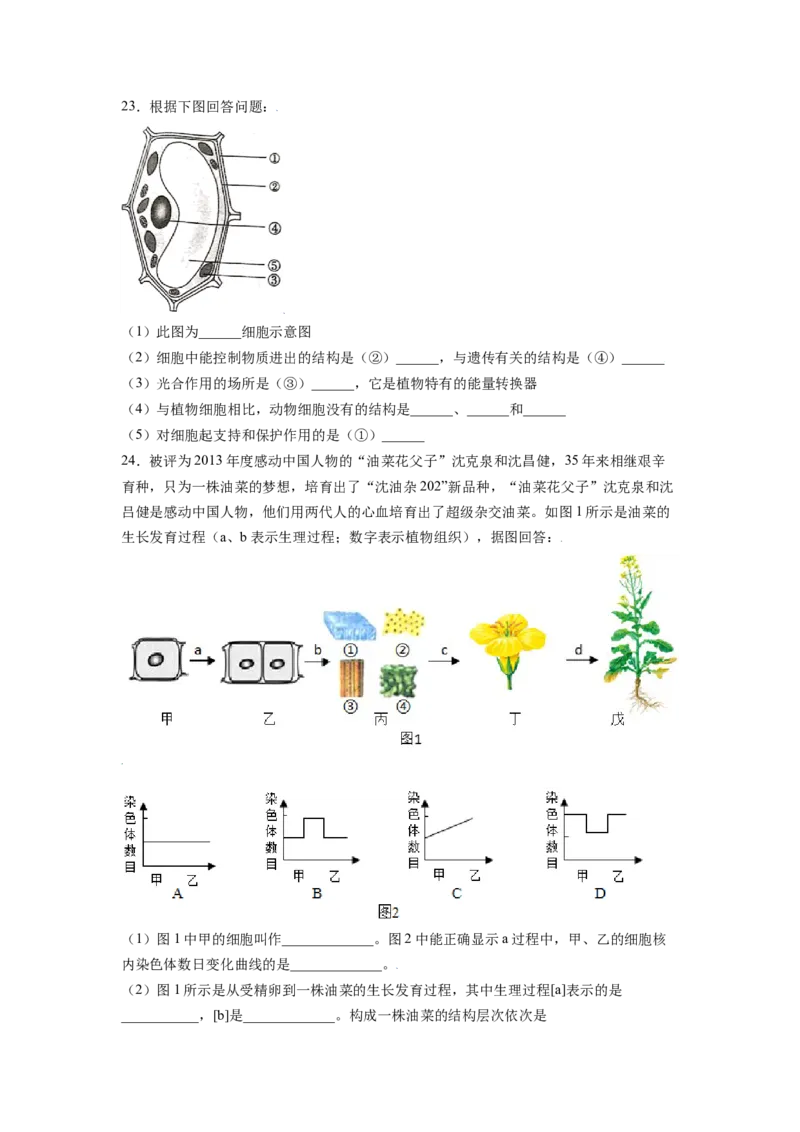 期末测试卷02-（人教版）（原卷版）_初中全科电子版试卷练习试题_生物_生物人教版7上练习&mdash;24新版已更新_人教生物7年级上期末试卷11份