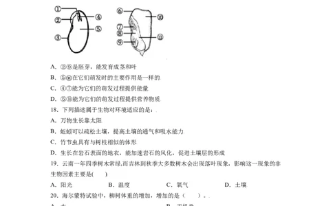 期末测试卷02-（人教版）（原卷版）_初中全科电子版试卷练习试题_生物_生物人教版7上练习&mdash;24新版已更新_人教生物7年级上期末试卷11份