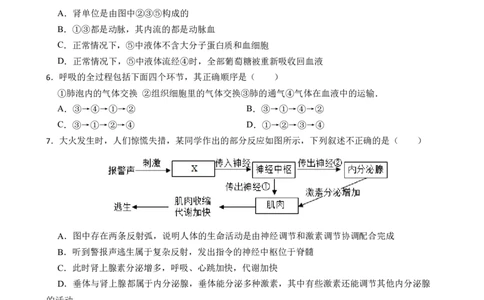 生物（河北卷）（考试版A4)_初中全科电子版试卷练习试题_生物_2024中考模拟题生物(1)_一模_生物（河北卷）-2024年中考第一次模拟考试