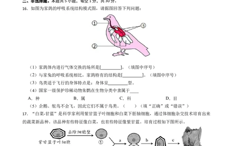 生物（河北卷）（考试版A4)_初中全科电子版试卷练习试题_生物_2024中考模拟题生物(1)_一模_生物（河北卷）-2024年中考第一次模拟考试