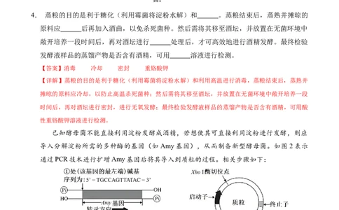 信息必刷卷01（上海专用）解析版_2025年新高考资料_2025考前信息卷_2025年高考生物考前信息必刷卷（上海专用）3443034