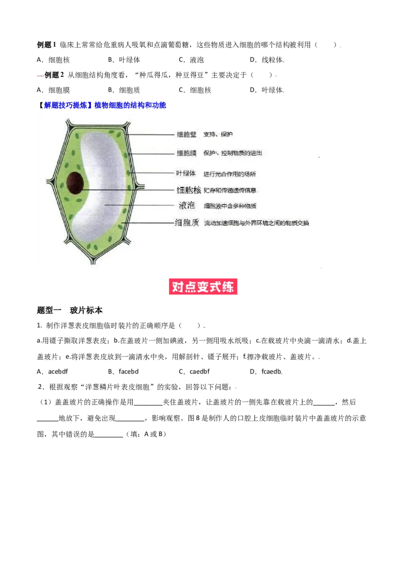 必考点07植物细胞-（人教版）（原卷版）_初中全科电子版试卷练习试题_生物_生物人教版7上练习&mdash;24新版已更新_人教生物7年级上专项练习28份