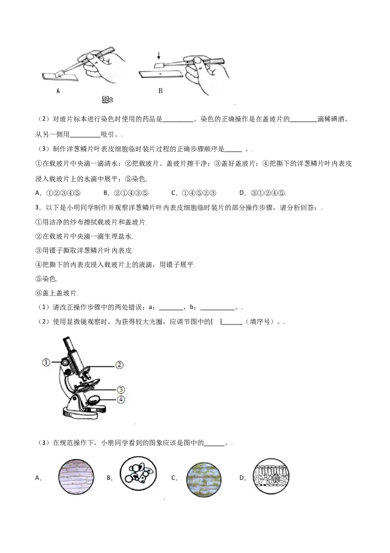 必考点07植物细胞-（人教版）（原卷版）_初中全科电子版试卷练习试题_生物_生物人教版7上练习&mdash;24新版已更新_人教生物7年级上专项练习28份