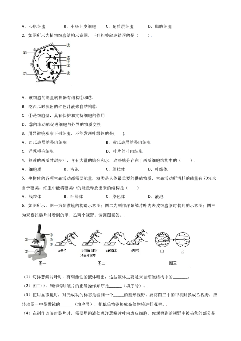 必考点07植物细胞-（人教版）（原卷版）_初中全科电子版试卷练习试题_生物_生物人教版7上练习&mdash;24新版已更新_人教生物7年级上专项练习28份