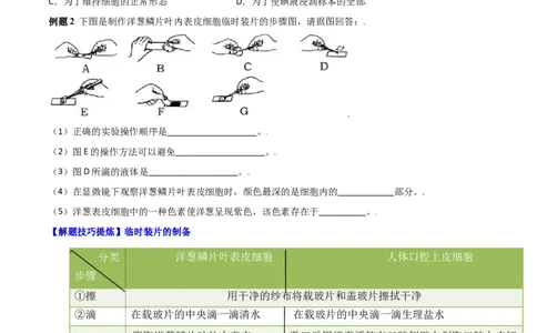 必考点07植物细胞-（人教版）（原卷版）_初中全科电子版试卷练习试题_生物_生物人教版7上练习&mdash;24新版已更新_人教生物7年级上专项练习28份