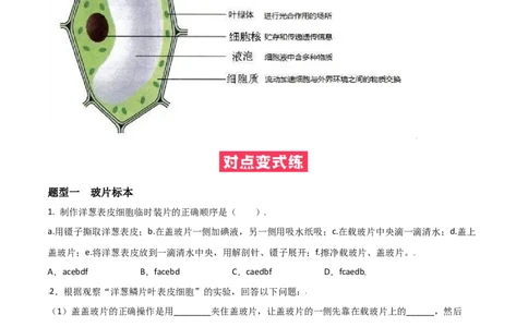 必考点07植物细胞-（人教版）（原卷版）_初中全科电子版试卷练习试题_生物_生物人教版7上练习&mdash;24新版已更新_人教生物7年级上专项练习28份