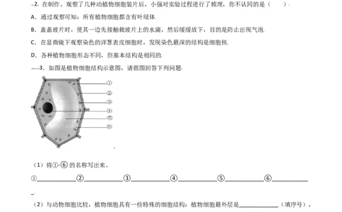 必考点07植物细胞-（人教版）（原卷版）_初中全科电子版试卷练习试题_生物_生物人教版7上练习&mdash;24新版已更新_人教生物7年级上专项练习28份