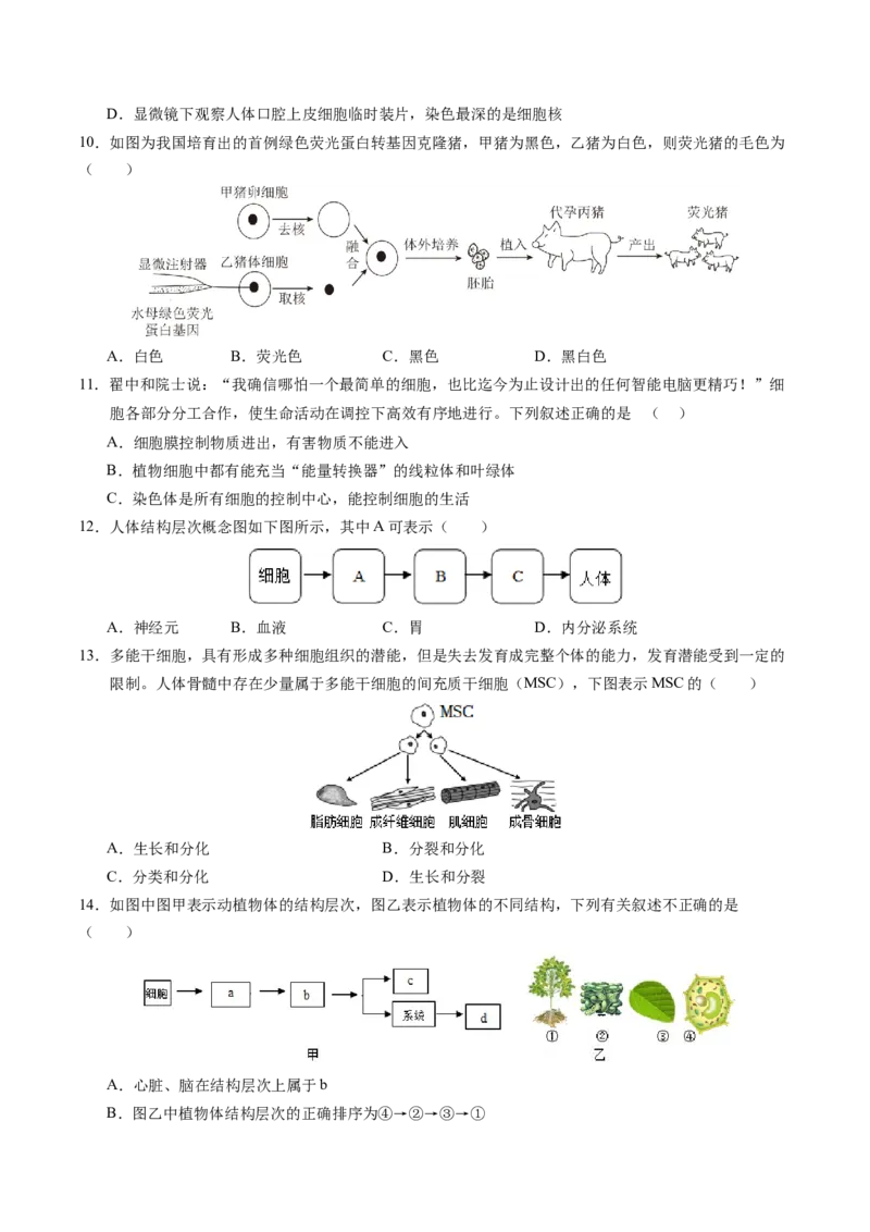 生物（苏州卷）（考试版A4）_初中全科电子版试卷练习试题_生物_2024中考模拟题生物(1)_三模（37套）_生物（苏州卷）