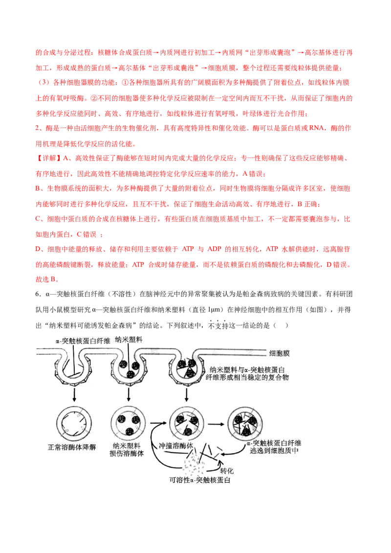 专题一细胞的分子组成、结构与功能（解析版）_2025年新高考资料_二轮复习_举一反三2025年高考生物二轮重点专题讲义（新高考通用）3442769