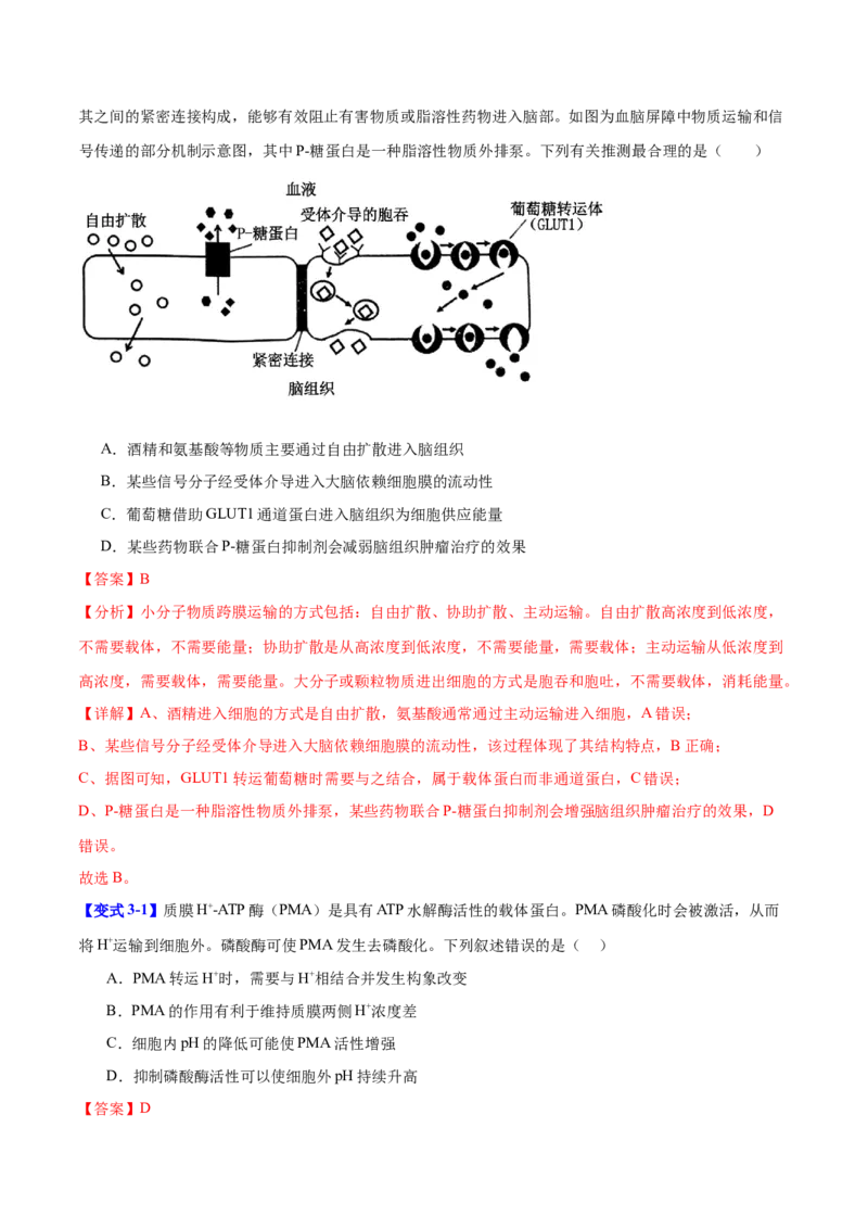 专题一细胞的分子组成、结构与功能（解析版）_2025年新高考资料_二轮复习_举一反三2025年高考生物二轮重点专题讲义（新高考通用）3442769