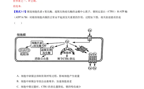 专题一细胞的分子组成、结构与功能（解析版）_2025年新高考资料_二轮复习_举一反三2025年高考生物二轮重点专题讲义（新高考通用）3442769