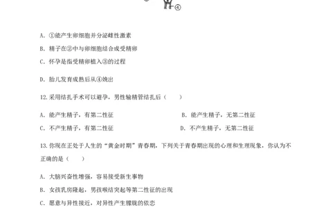 第一章人的由来（能力提升）-（人教版）（原卷版）_初中全科电子版试卷练习试题_生物_生物人教版7下练习_人教生物7年级下单元试卷33份