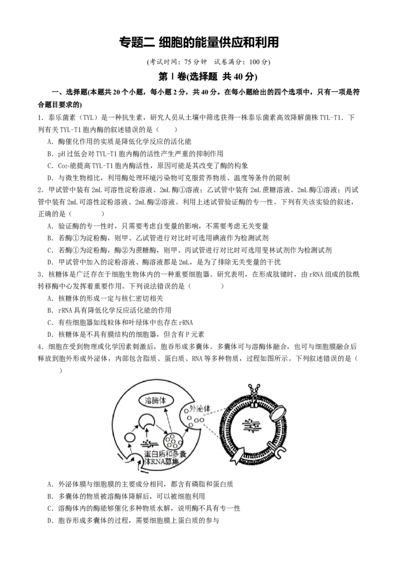 专题二细胞的能量供应和利用（原卷版）_2025年新高考资料_二轮复习_01高考语文等多个文件_上好课2025年高考生物二轮复习讲练测（新高考通用）
