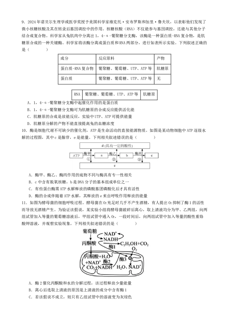 专题二细胞的能量供应和利用（原卷版）_2025年新高考资料_二轮复习_01高考语文等多个文件_上好课2025年高考生物二轮复习讲练测（新高考通用）